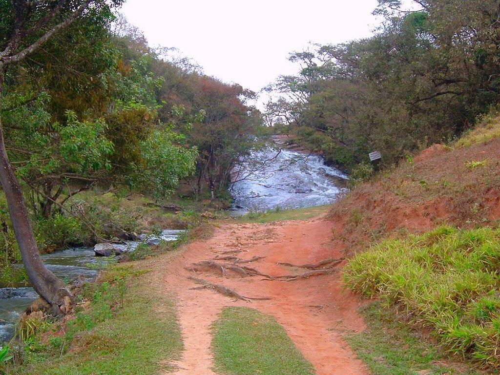 Registro de marca em Crucilândia - MG